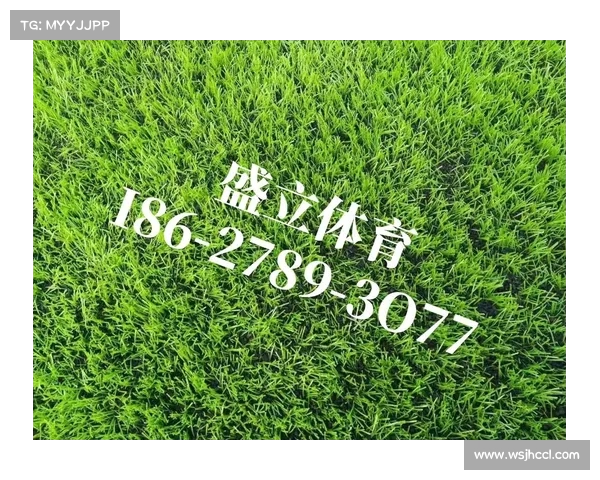 提升草坪质量的关键因素及养护技巧解析